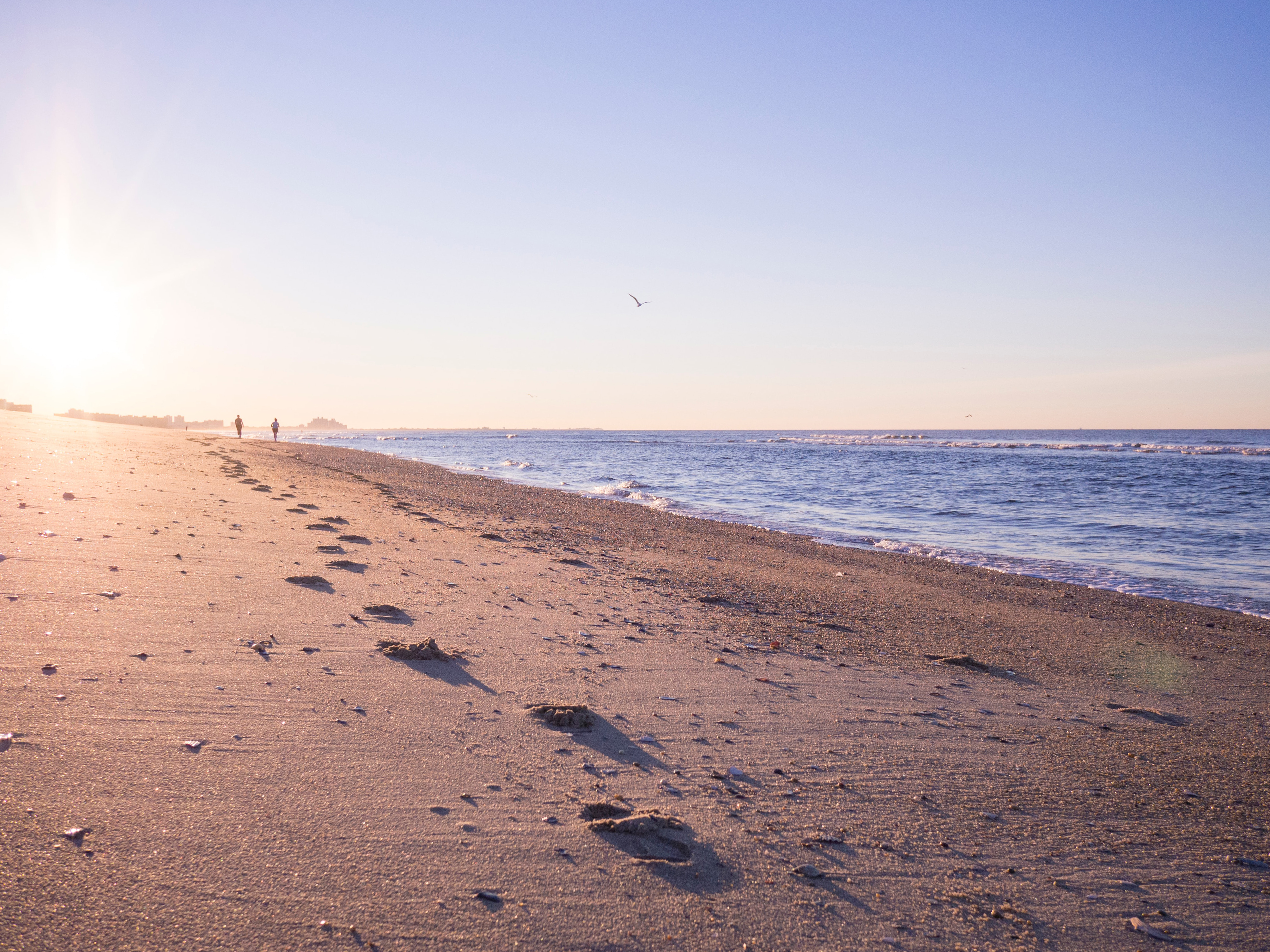 Beach coastline