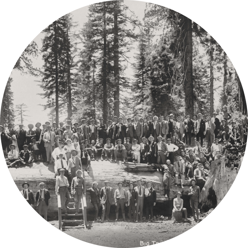 Group of people from the 1800s standing in a forest 