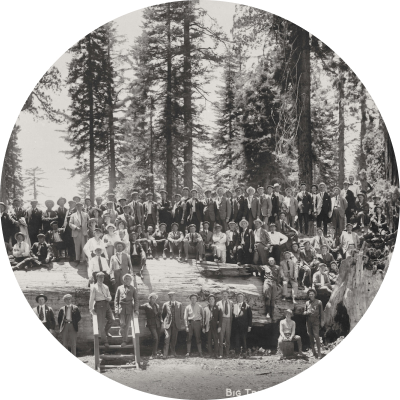 Group of people from the 1800s standing in a forest